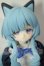 画像1: パラドックスワールド/シュレーディンガーの猫（ノーマル） A-26-08-17-188-NY-ZA (1)