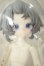 画像1: ニャニャニャ次元/シャム猫 A-26-08-17-298-NY-ZA (1)