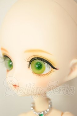 画像4: Harmonia bloom　ハルモニアブルーム/バラ A-26-08-17-201-NY-ZA