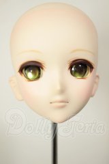 DDH-07カスタムヘッド A-26-08-17-179-NY-ZA