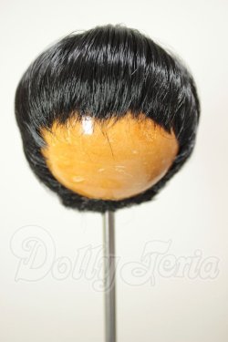 画像1: 6inch/ウィッグ A-26-08-17-290-NY-ZA