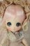 画像1: DOLLCE/ミニスウィーツドール：チュマ A-26-08-17-263-NY-ZA (1)