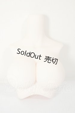 画像1: DD/DD2.0(DD-f3)-B-L-SW 上半身パーツ L胸 A-26-09-14-288-NY-ZA