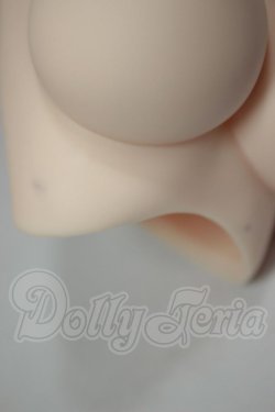画像3: DD/DD2.0(DD-f3)-B-L-SW 上半身パーツ L胸 A-26-09-14-288-NY-ZA