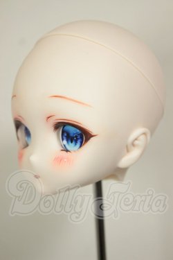 画像3: DD/DDH-27:カスタムヘッド A-26-09-14-293-NY-ZA