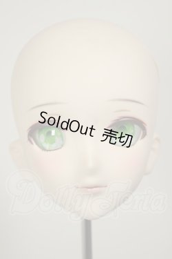 画像1: DDH-07/DDオプションヘッド　メイク済2015Ver. A-26-09-14-290-NY-ZA