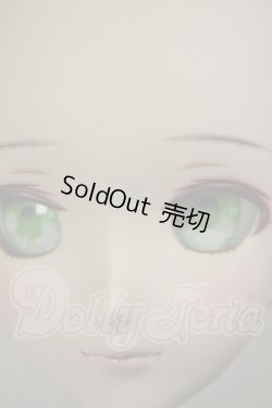 画像6: DDH-07/DDオプションヘッド　メイク済2015Ver. A-26-09-14-290-NY-ZA