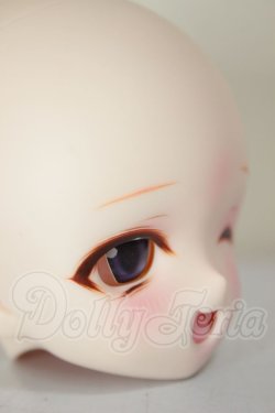画像2: DDH-01/カスタムヘッド A-26-08-17-351-NY-ZA