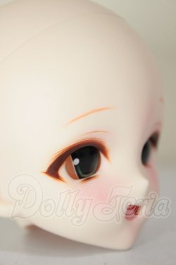 画像2: DDH-10/カスタムヘッド A-26-08-17-355-NY-ZA