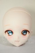 DDH-10/カスタムヘッド A-26-08-17-356-NY-ZA