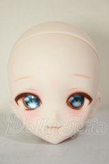DDH-10/カスタムヘッド A-26-08-17-356-NY-ZA