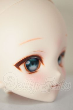 画像2: DDH-10/カスタムヘッド A-26-08-17-356-NY-ZA