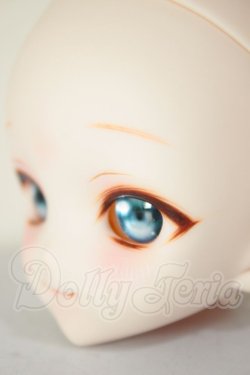 画像3: DDH-10/カスタムヘッド A-26-08-17-356-NY-ZA