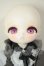 画像2: TinyFox/Caudatus　カルディス A-26-08-24-102-NY-ZA (2)