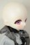 画像3: TinyFox/Caudatus　カルディス A-26-08-24-102-NY-ZA (3)