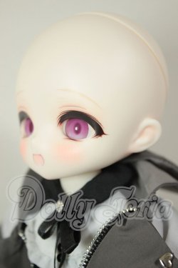 画像4: TinyFox/Caudatus　カルディス A-26-08-24-102-NY-ZA