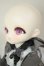 画像4: TinyFox/Caudatus　カルディス A-26-08-24-102-NY-ZA (4)