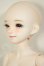 画像3: Asleep Eidolon/1/4 DingDang A-26-08-24-201-NY-ZA (3)