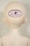 画像4: Asleep Eidolon/1/4 DingDang A-26-08-24-201-NY-ZA (4)