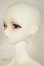 画像4: DOLL ZONE/Xiao Chu A-26-08-24-227-NY-ZA (4)