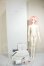画像9: DOLL ZONE/Xiao Chu A-26-08-24-227-NY-ZA (9)