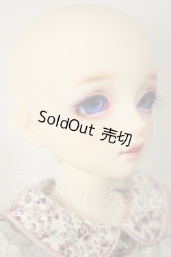 画像3: SDM女の子/コーディネートモデルF-61 A-26-08-24-229-NY-ZA