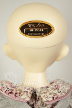 画像5: SDM女の子/コーディネートモデルF-61 A-26-08-24-229-NY-ZA