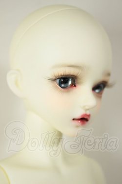 画像2: Myoudoll/Michelle A-26-08-24-230-NY-ZA