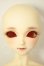 画像1: SDC/黒猫ルネ A-26-08-31-331-NY-ZA (1)