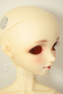 画像2: SDC/黒猫ルネ A-26-08-31-331-NY-ZA