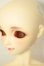 画像3: SDC/黒猫ルネ A-26-08-31-331-NY-ZA (3)
