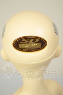 画像4: SDC/黒猫ルネ A-26-08-31-331-NY-ZA