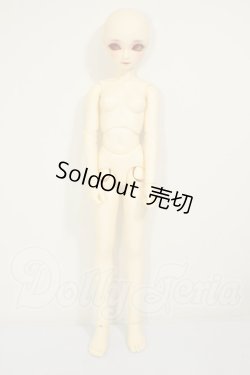 画像5: SDC/黒猫ルネ A-26-08-31-331-NY-ZA