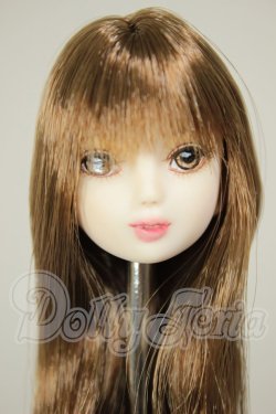 画像1: 1/6サイズ/カスタムヘッド A-26-08-24-240-NY-ZA