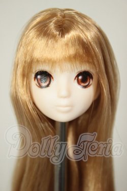 画像1: 1/6サイズ/カスタムヘッド A-26-08-24-235-NY-ZA