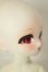 画像3: TinyFox/Cassandra A-26-08-24-251-NY-ZA (3)