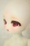 画像4: TinyFox/Cassandra A-26-08-24-251-NY-ZA (4)