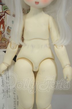画像8: TinyFox/Cassandra A-26-08-24-251-NY-ZA