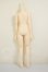 画像2: imomodoll/1/4 Boy Body A-26-08-24-254-NY-ZA (2)
