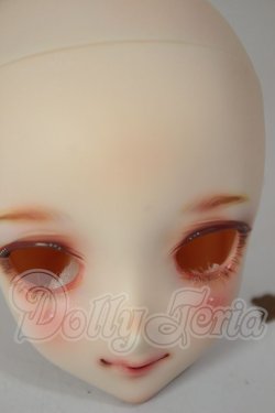画像5: DDH-09/カスタムヘッド A-26-08-24-256-NY-ZA
