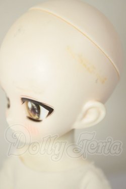 画像4: TinyFox/ウーパールーパーナース ルーシー A-26-08-31-332-NY-ZA