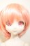 画像1: MDD/ドリームチョイス DC-H-19 A-26-08-31-206-NY-ZA (1)