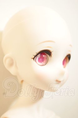 画像3: MDD/ドリームチョイス DC-H-19 A-26-08-31-206-NY-ZA
