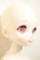 画像3: MDD/ドリームチョイス DC-H-19 A-26-08-31-206-NY-ZA (3)
