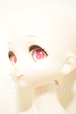 画像4: MDD/ドリームチョイス DC-H-19 A-26-08-31-206-NY-ZA