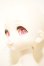 画像4: MDD/ドリームチョイス DC-H-19 A-26-08-31-206-NY-ZA (4)