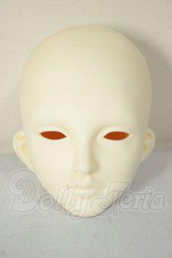 画像1: 傲??（アオリンシー）/?? Lynn Head A-26-08-31-336-NY-ZA