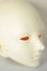 画像2: 傲??（アオリンシー）/?? Lynn Head A-26-08-31-336-NY-ZA (2)