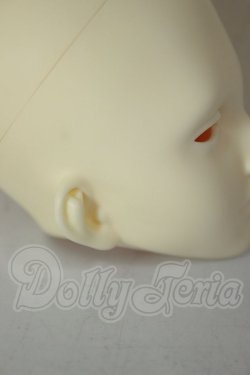 画像5: 傲??（アオリンシー）/?? Lynn Head A-26-08-31-336-NY-ZA