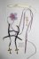 画像1: MDD/OF:ファッション雑貨/0 A-26-09-14-022-NY-ZA (1)
